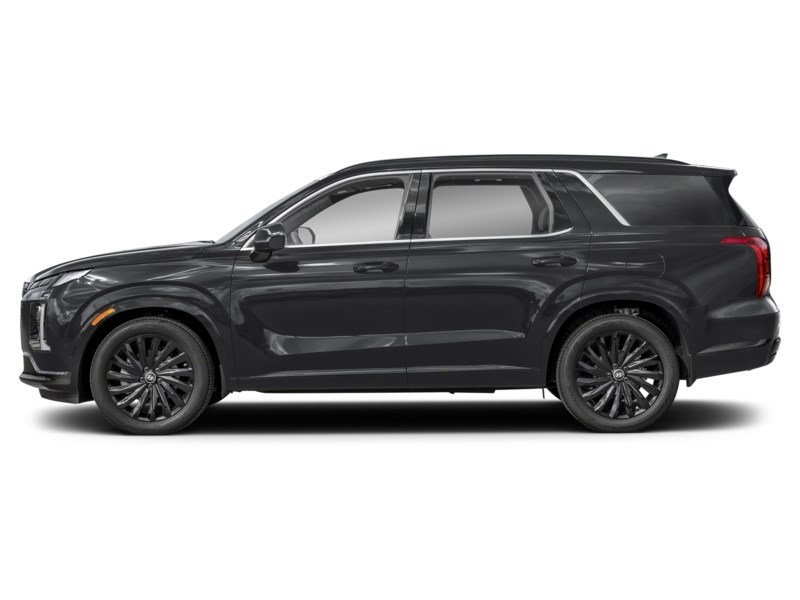 2025 Hyundai Palisade Ultimate Calligraphy Night 7-Passenger AWD Abyss Black  Shot 5